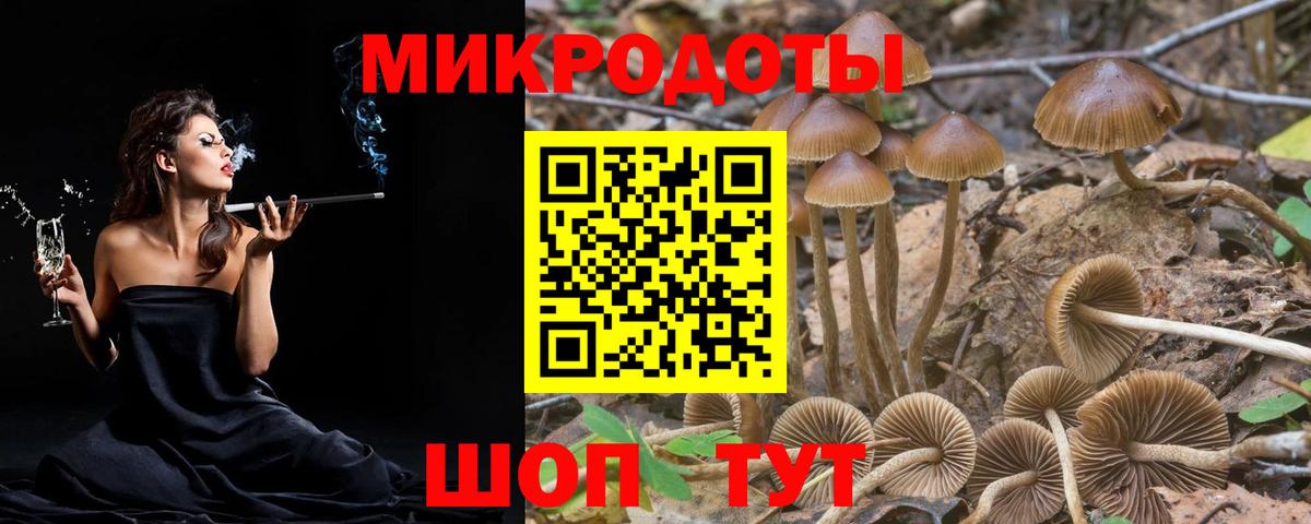 Сарапул  Псилоцибиновые грибы Cubensis  Вход с VPN 
